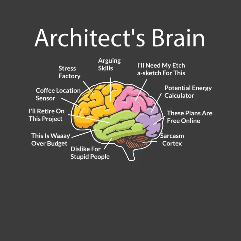 Architecte, Architecture, cerveau d’architecte