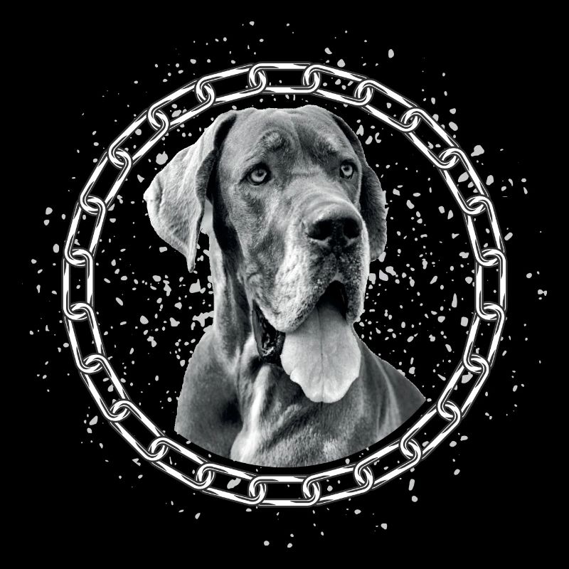 Deutsche Dogge oder Dänische Dogge als Portrait