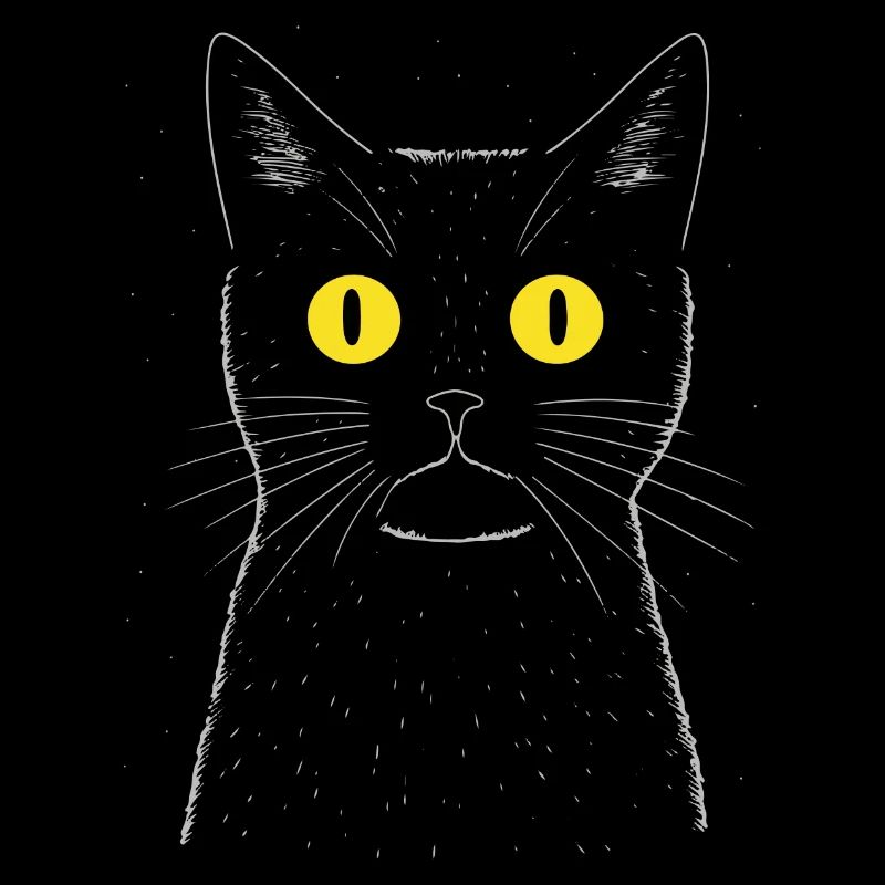 Chat excentrique la nuit