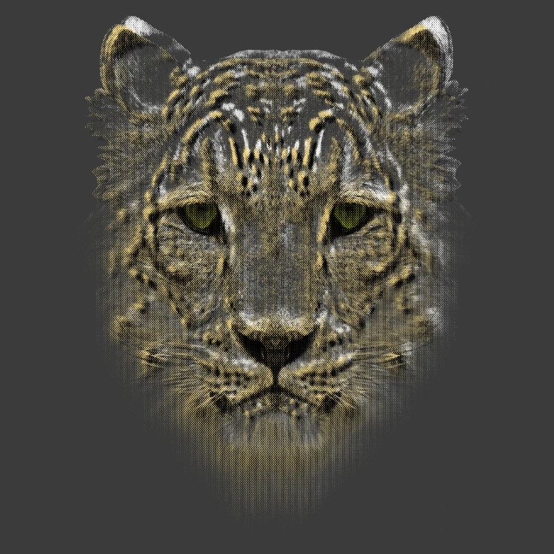 LEOPARD