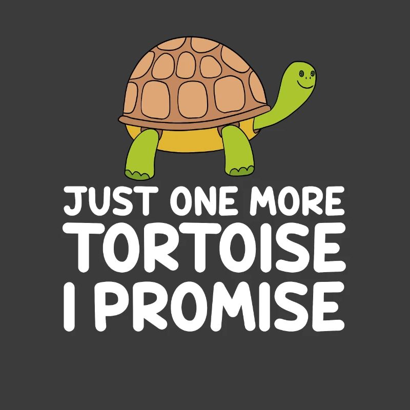 Nur noch eine Schildkröte, versprochen