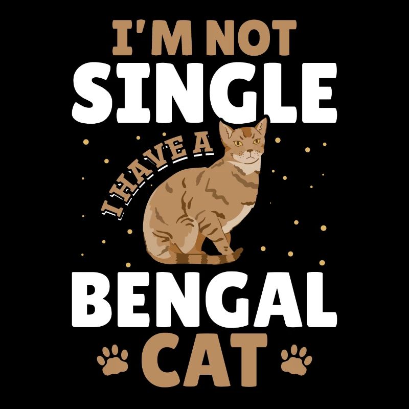 Chat célibataire Bengal Chat célibataire Chat de vie ami