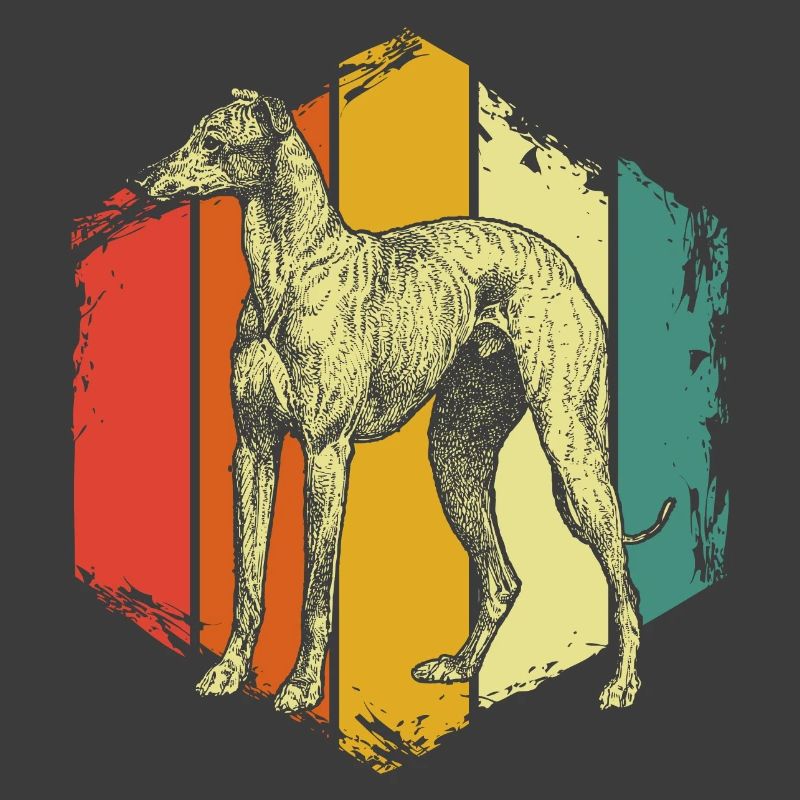greyhound