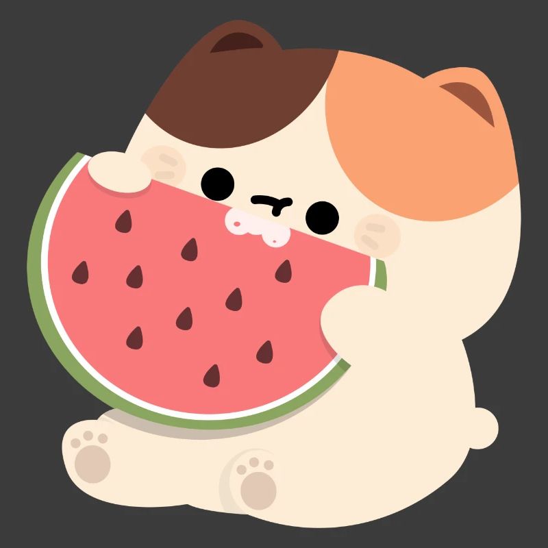 Tortie Chat Pastèque
