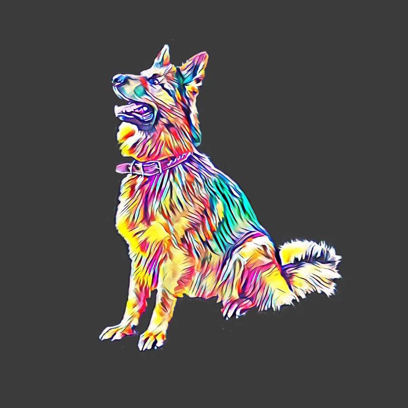German Shepherd