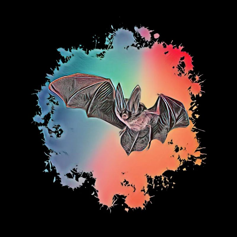 chauve souris