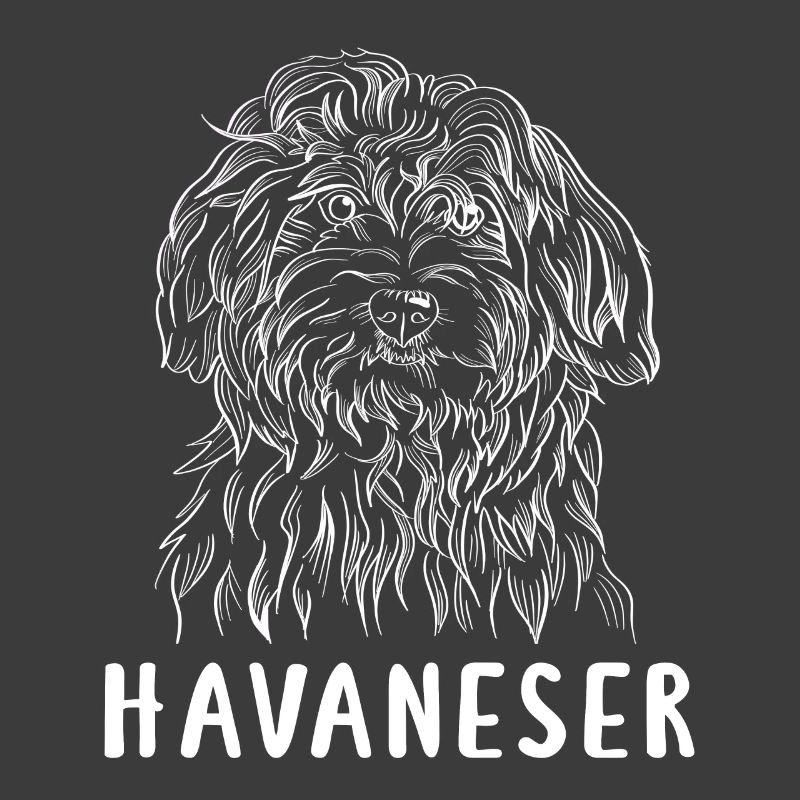 Havanese white
