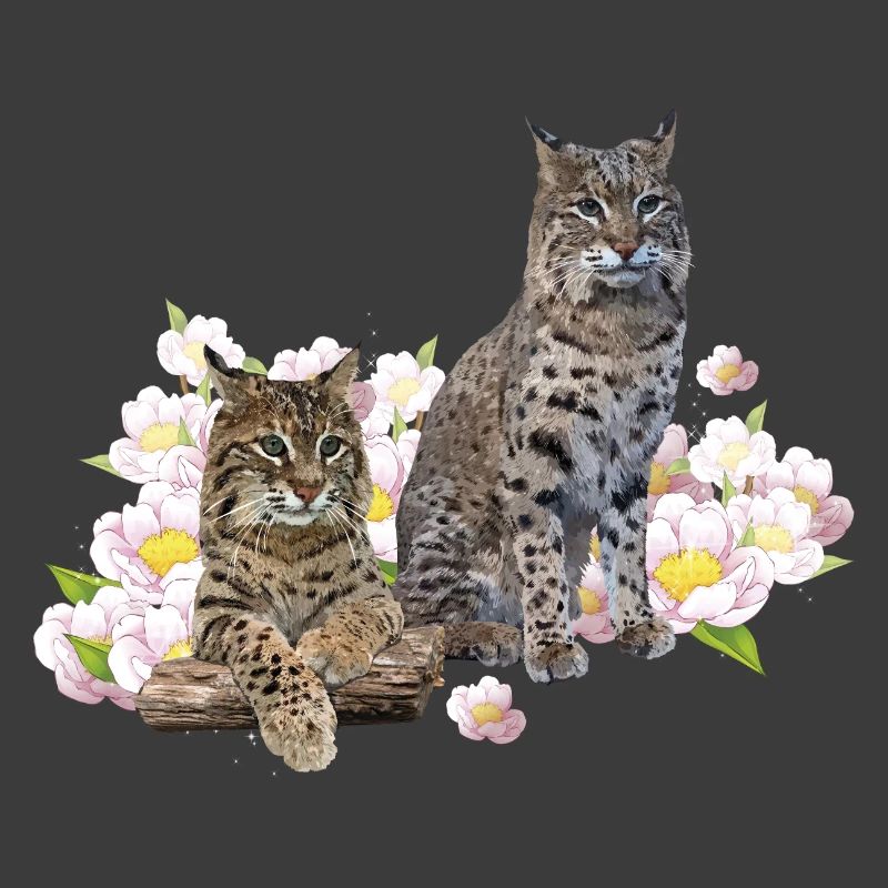 Luchs