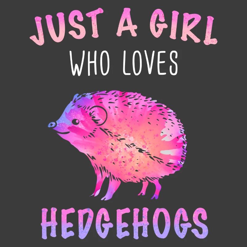 Igel Stachelig Tier Igel