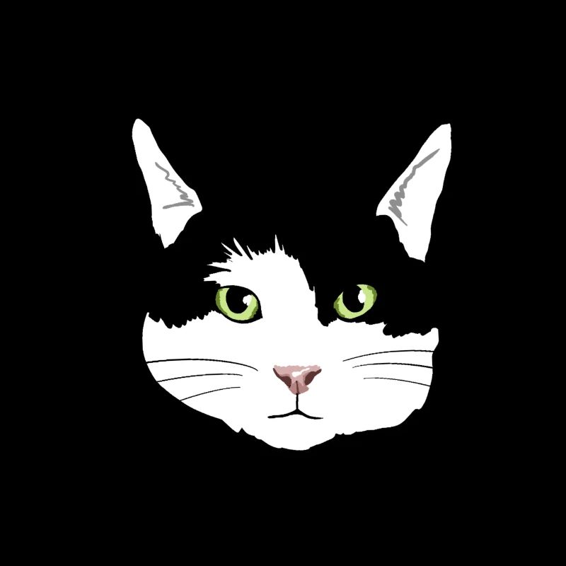 chat noir et blanc