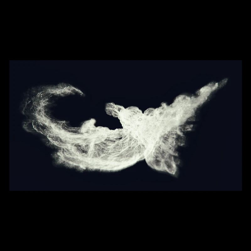 Nocturnal/Lost [Third]