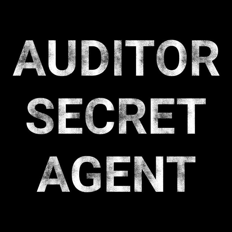 Auditor Secret Agent