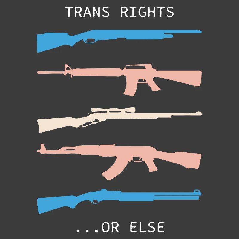 TRANS RIGHTS OR ELSE meaning trend