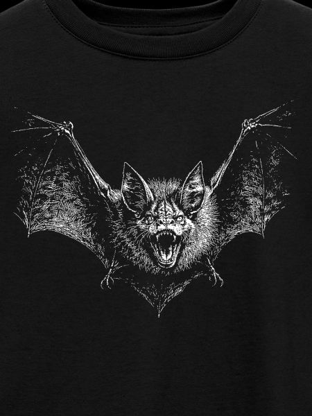 Fledermaus