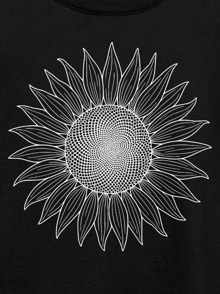 Sonnenblume