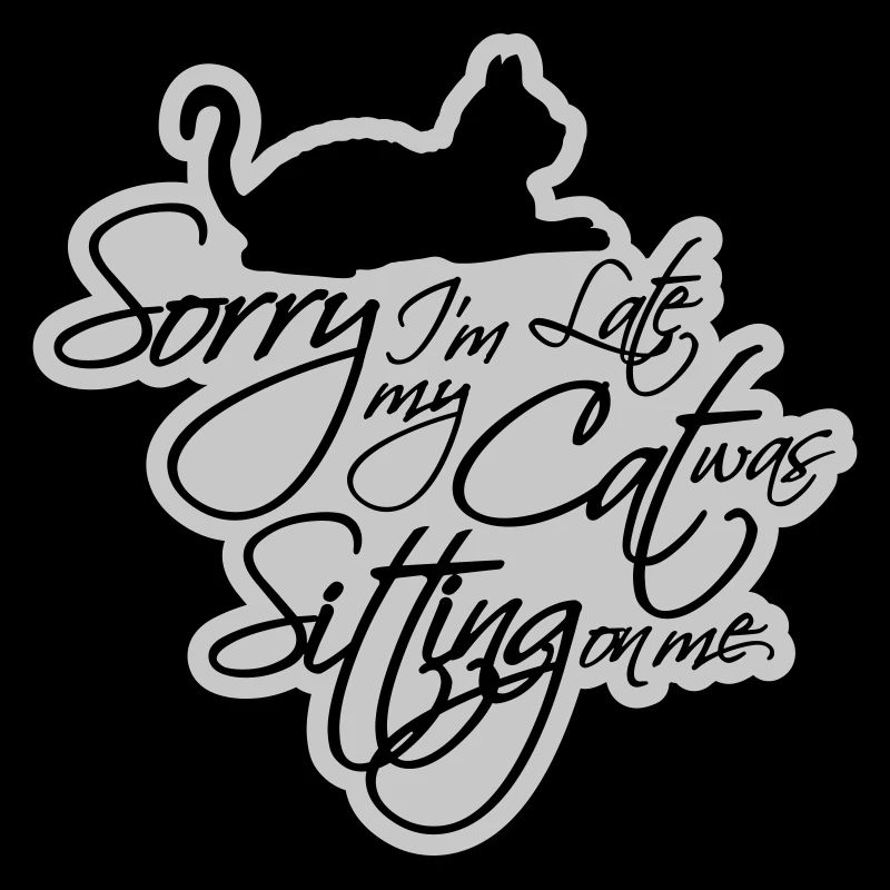 sorry cat was sitting