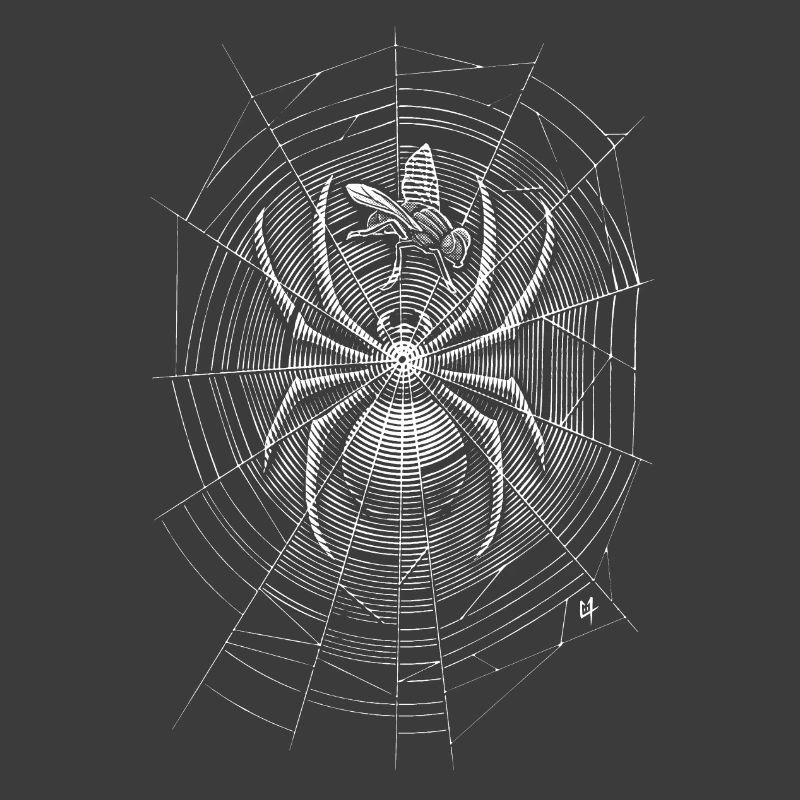 Spider Web