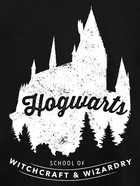 Harry Potter Hogwarts School