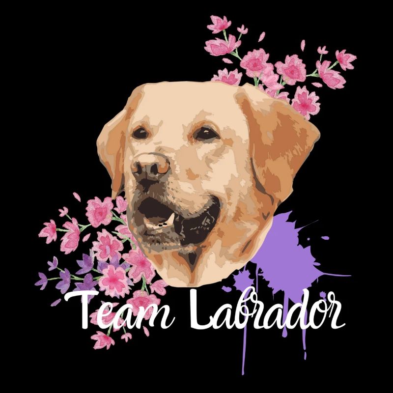 Équipe Labrador