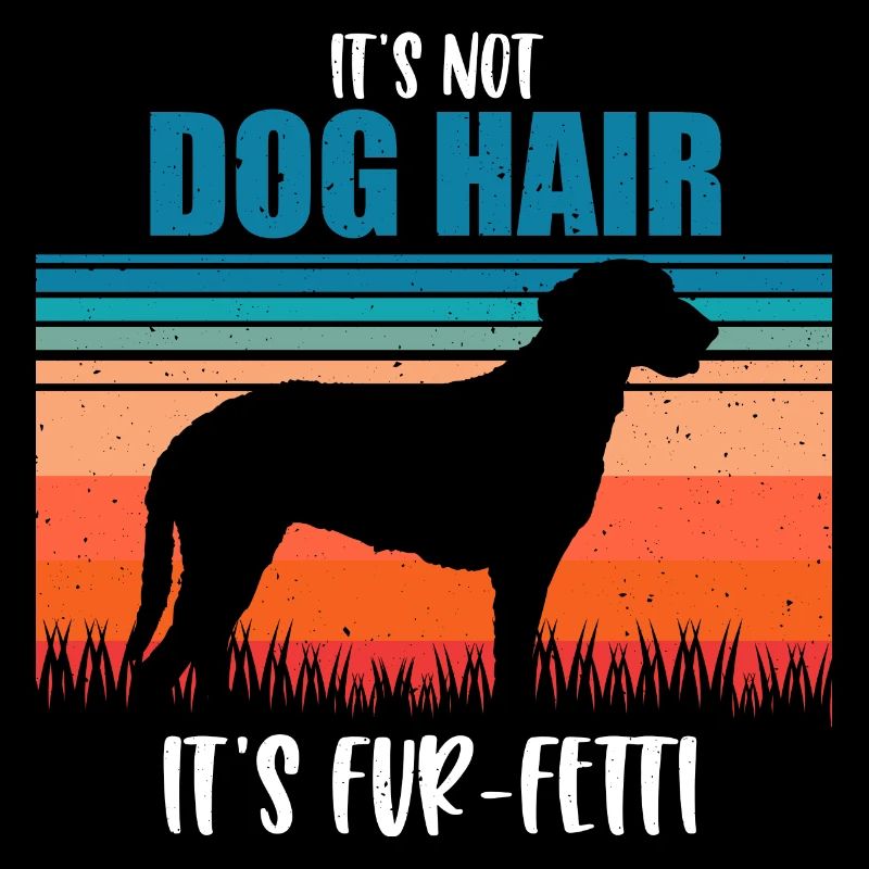 Curly Coated Retriever