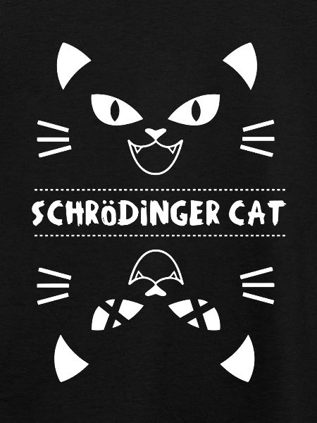 Schrödingers kat