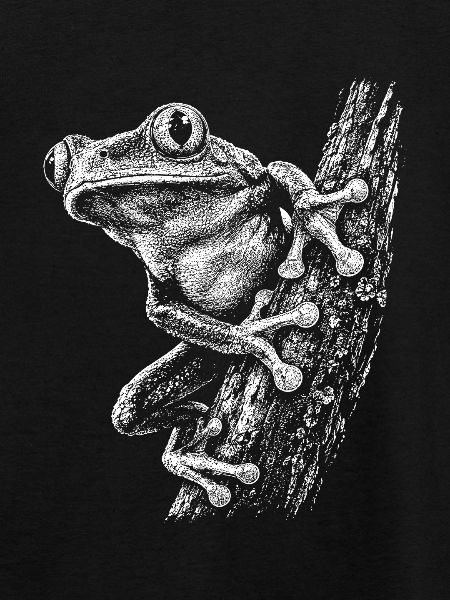 Kleiner Frosch am Ast