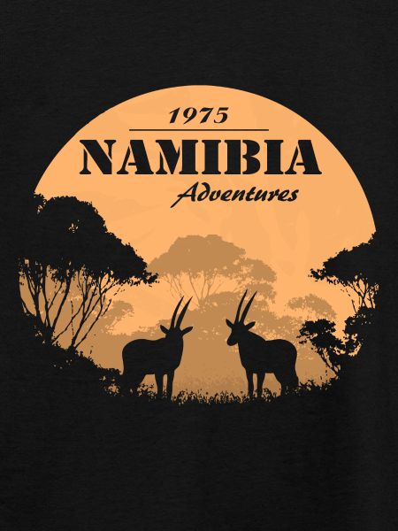Namibia - Antelope