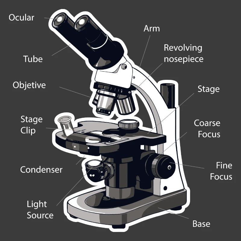 Anatomie eines Mikroskops mtla labor design