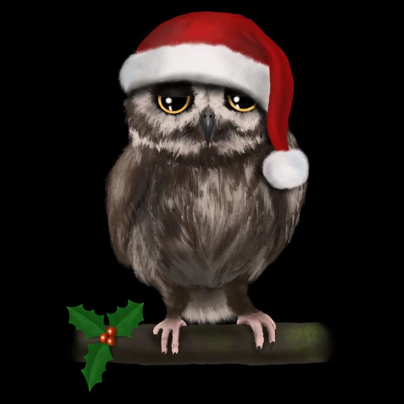Christmas Owl - Bored