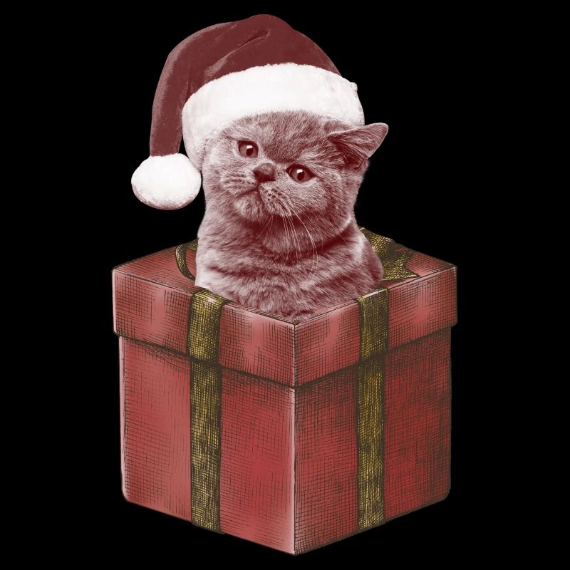 Cadeau Cat Bonnet de Noël