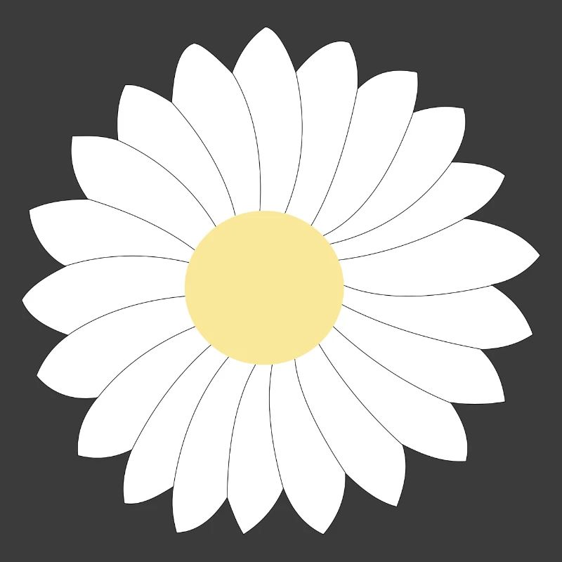 Gänseblümchen