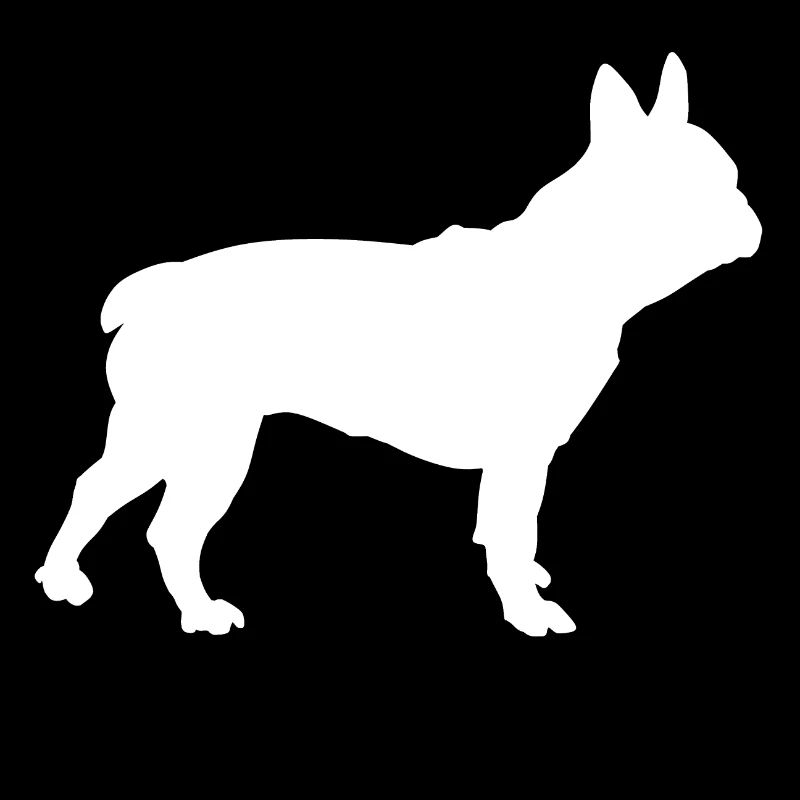 French bulldog