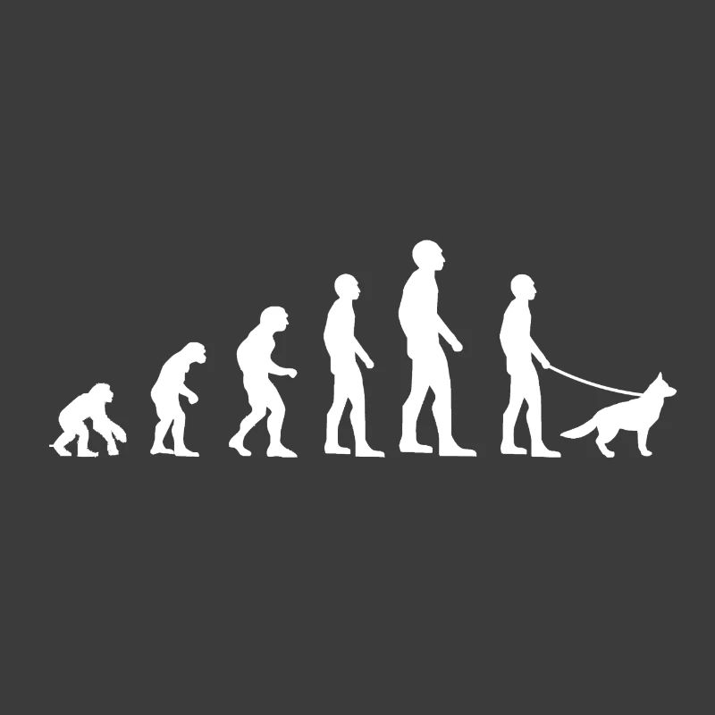 Evolution des chiens
