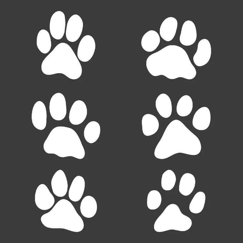 pattes