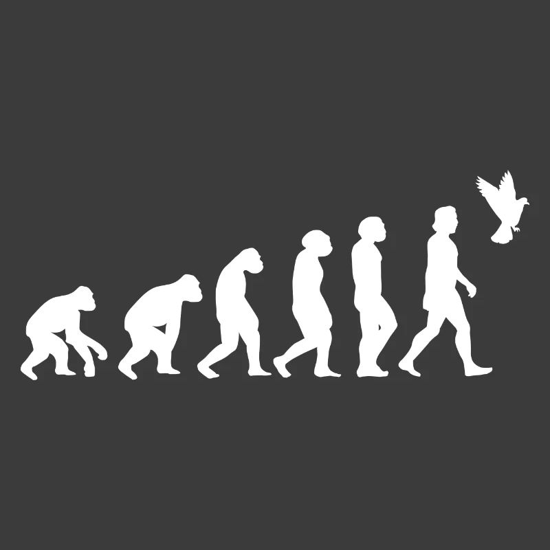 Taube Vogel Evolution der Menschen Tiere