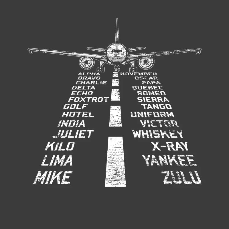 Airplane pilot flying