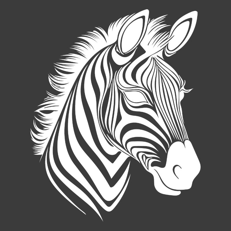 Zebra Elegant with beautiful striped pattern