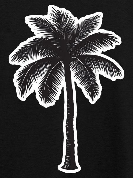Palme