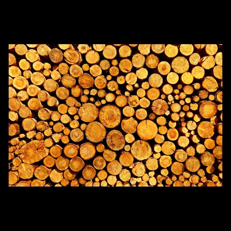 Tree trunks tree trunk stacked nature wood poster