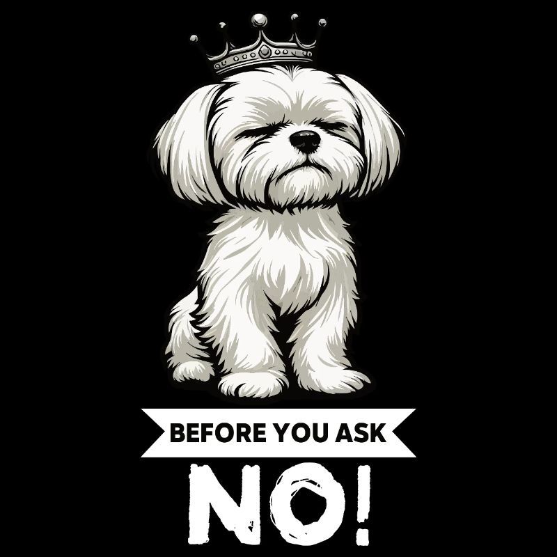 Before You Ask Malteser Maltese Owners Maltese