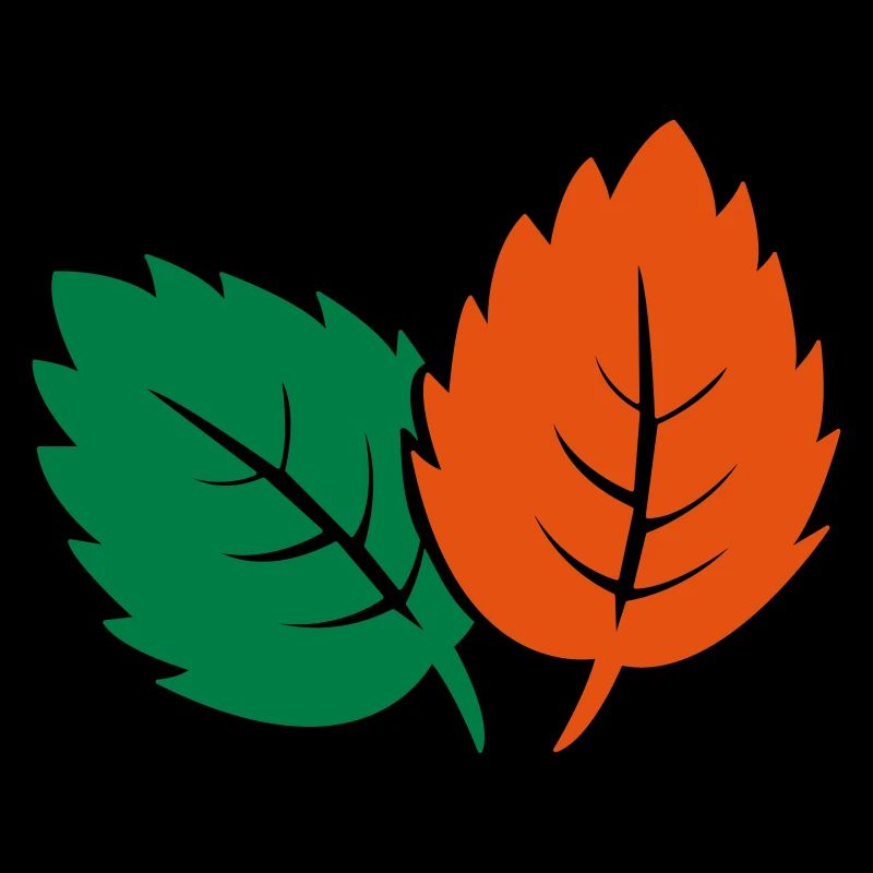 feuilles