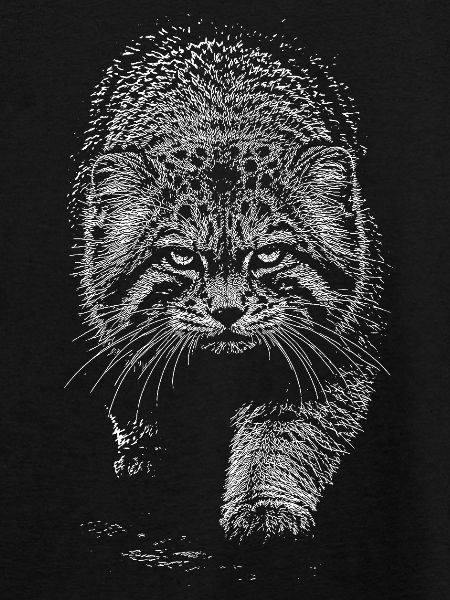 Manul