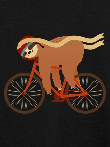 Sloth Sleeping On Bicycle