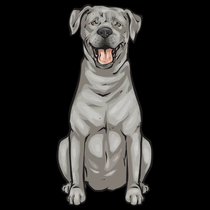 Silver Labrador Retriever Silver Lab