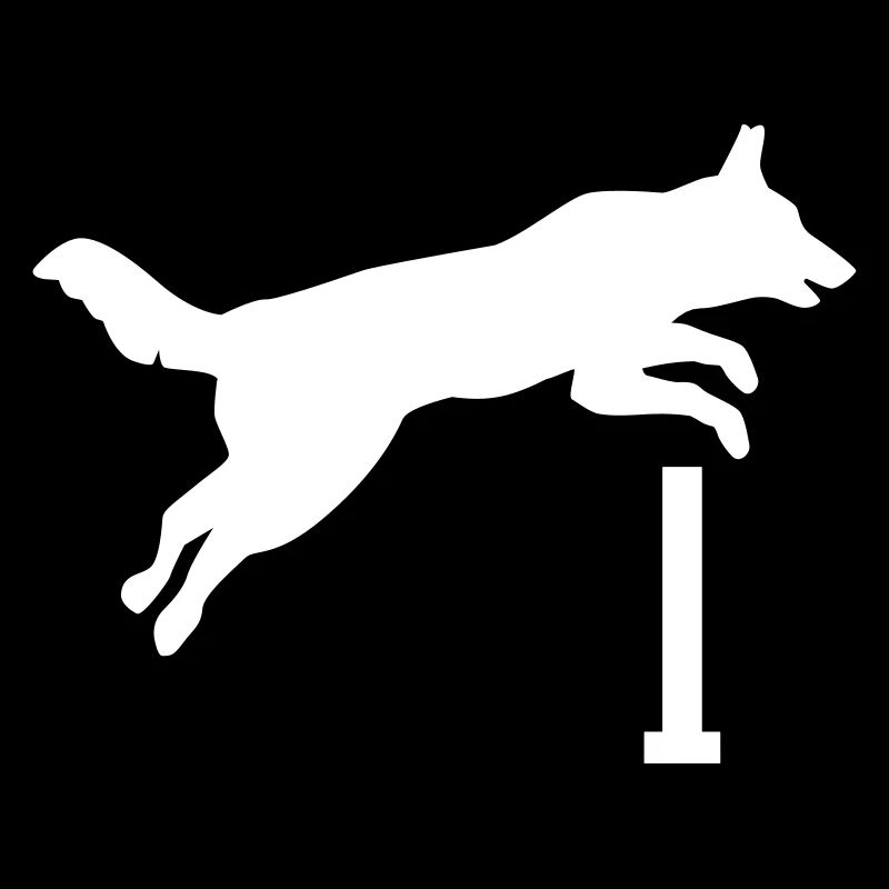 Agility