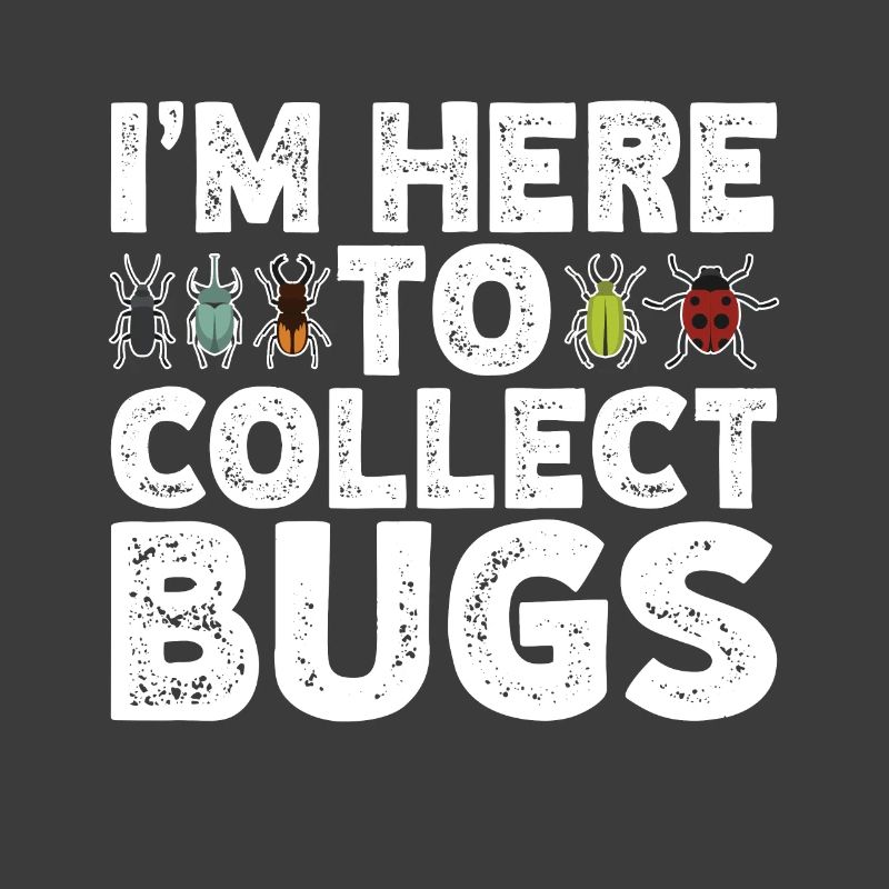 Insecte