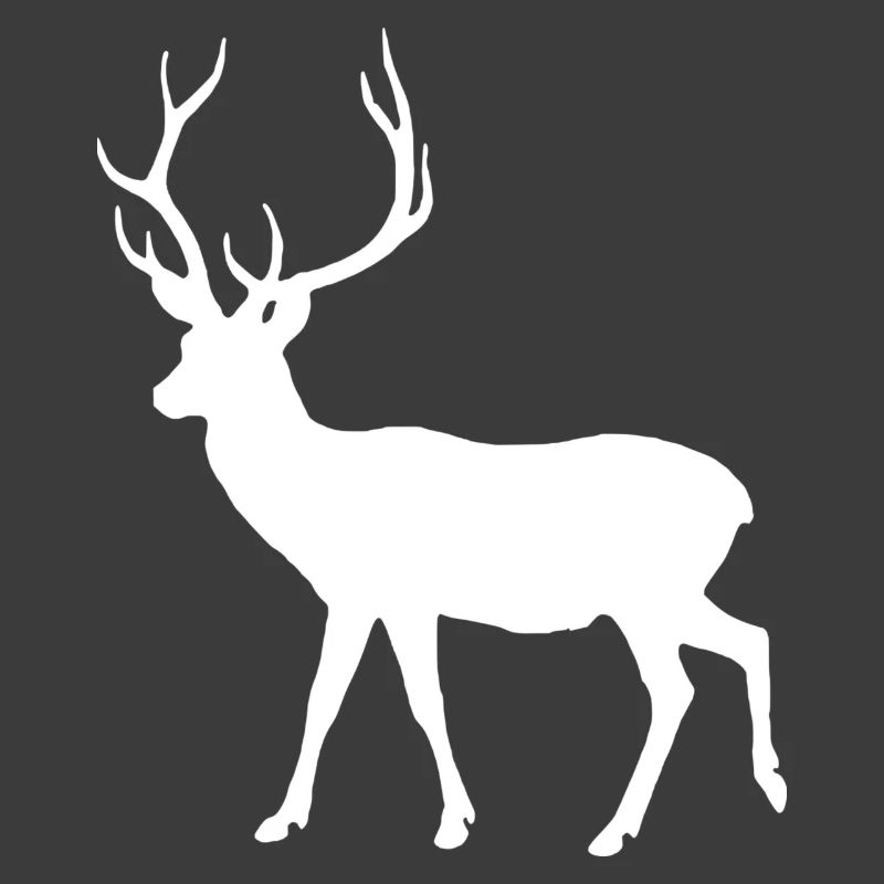 Hirsch