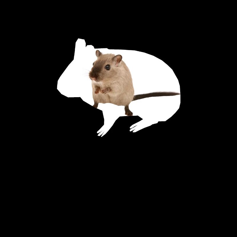 Hamster Geschenk Shirt mit Hamster in Hamster