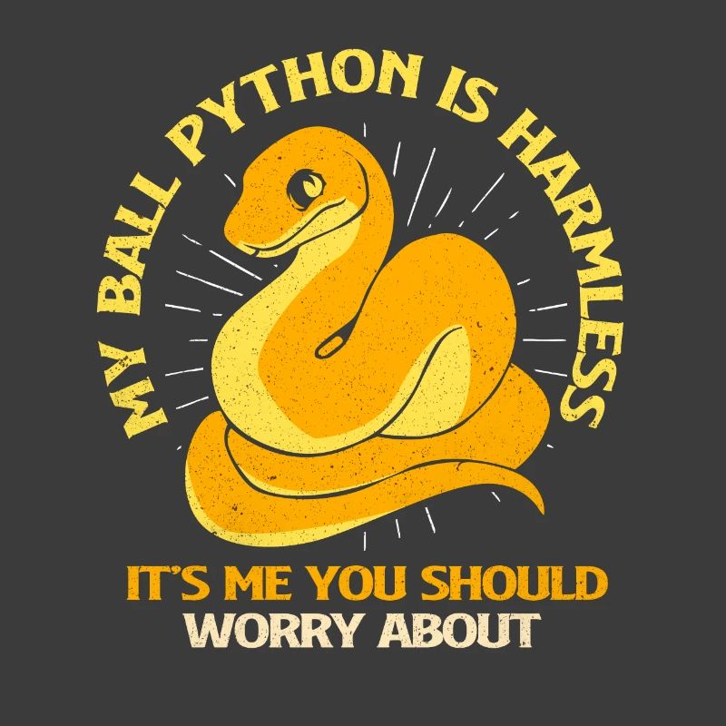 Python