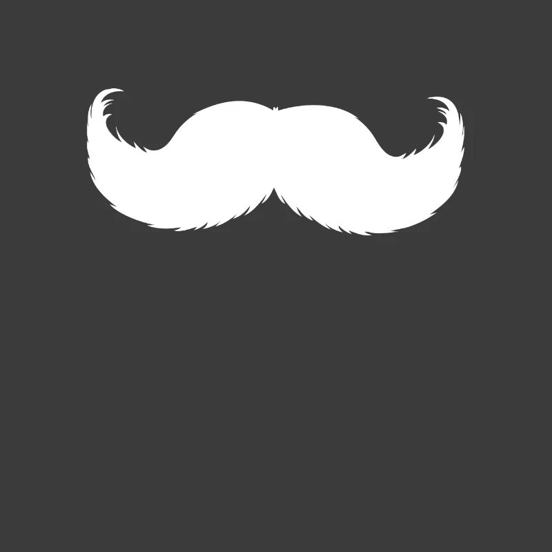 Bart Schnurrbart bärtig